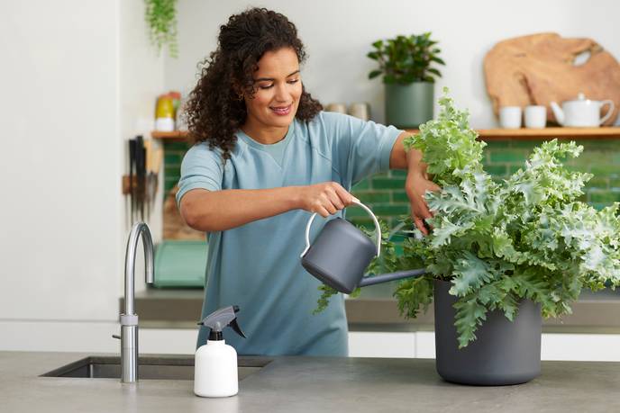 b.for soft watering can 1,7ltr anthracite
